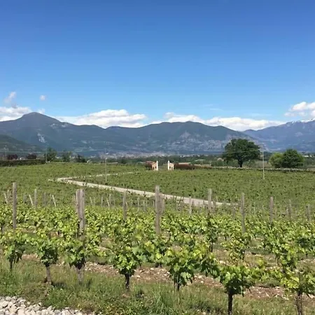 Lovera Franciacorta-3